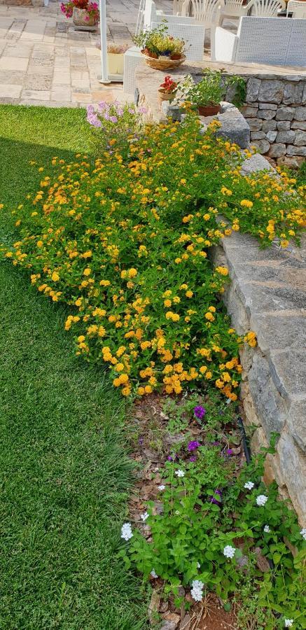 Balice Antica Dimora Bed & Breakfast Monopoli Luaran gambar